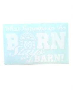 Stays In The Barn Bumper Sticker 6x4