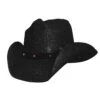 Bullhide AFTER PARTY 0221BL Straw Hat Black