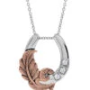 Montana Silversmiths NC4621-D Natural Luck Horseshoe Necklace